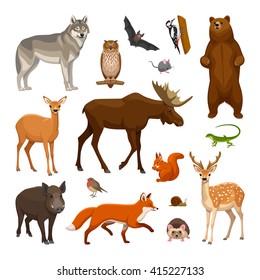 Grupo de animales forestales