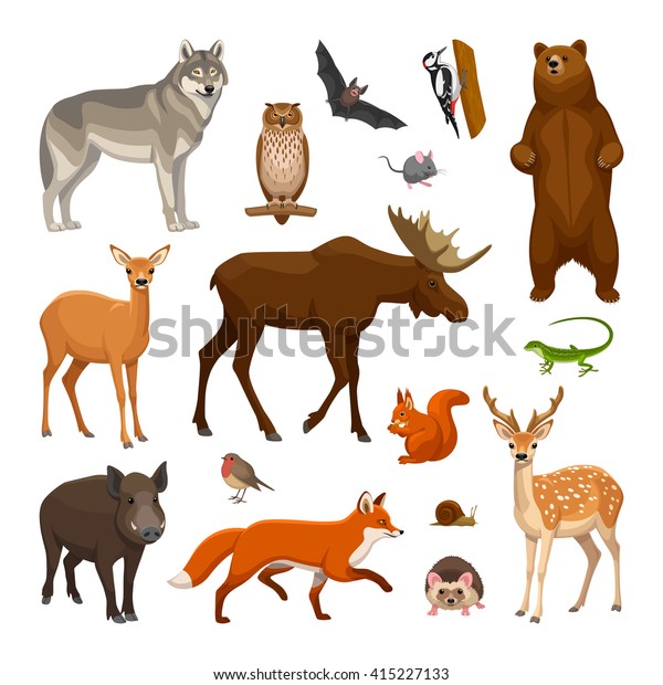 3,972 Graphical Vector Boar Isolated On White Background Images, Stock ...