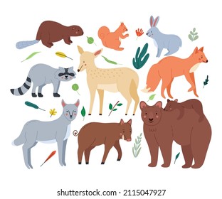 Forest animals set with bears,fox,squirrel,hare,wolf,beaver,hog,deer,raccoon, great design for any purposes. Woodland fauna collection. Flat cartoon vector illustration isolated for white background.