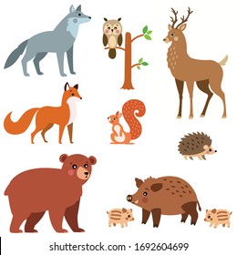 Forest animals set collection vector illustration.Cute wild forest animals: wolf, fox, deer, bear, squirrel, hedgehog, owl, wild roar isolated on white background.