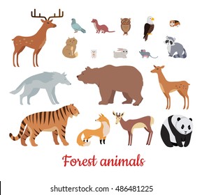 Forest Animals Set. Deer, Bear, Wolf, Tiger, Fox, Panda, Raccoon, Rabbit, Owl, Mouse, Eagle, Weasel, Roe Deer, Chipmunk Isolated On White Background. Wildlife Character