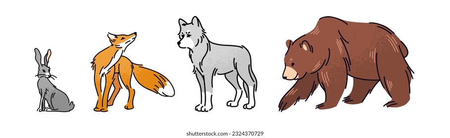 Forest animals set, flat vector illustration of bear, wolf, fox and hare. Wild life