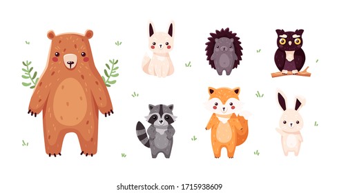 Forest animals set isolated. Funny cartoon characters for kids. Bear, fox, owl, hedgehog, raccoon, hare. Vector illustration. Flat eps10.