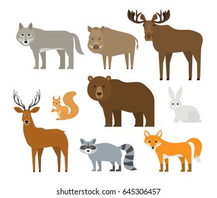 forest animals set on white background