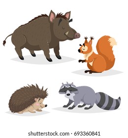 Forest animals set. Raccoon, hedgehog, squirrel and wild boar. Happy smiling and cheerful characters. Vector zoo illustrations isolated on white background.