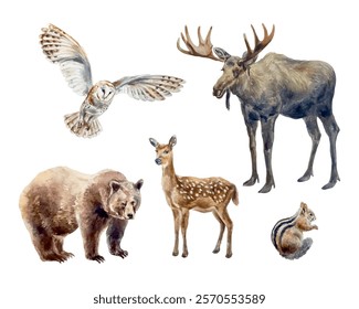 Forest animals set watercolor. Bear, elk, fallow deer, chipmunk, owl. Vector illustration. For cards, invitations, banners, wildlife protection day.