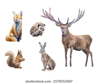 Forest animals set watercolor. Deer, fox, hare, squirrel, hedgehog. Vector illustration. Cards, invitations, posters, banners, wildlife protection day