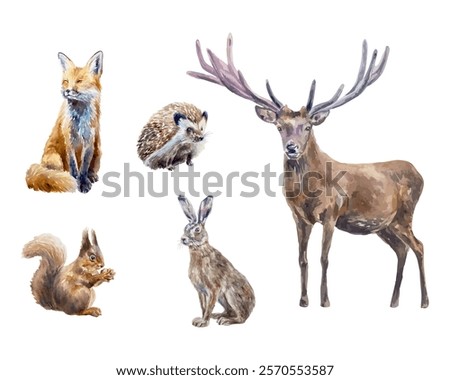 Forest animals set watercolor. Deer, fox, hare, squirrel, hedgehog. Vector illustration. Cards, invitations, posters, banners, wildlife protection day