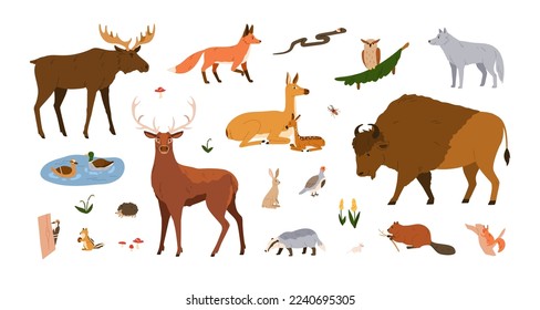 Forest animals set. Wild mammals of woodland. Fox, wolf, bison, elk, deer collection. Woods inhabitants, birds, beasts, owl, hedgehog and roe. Flat vector illustrations isolated on white background