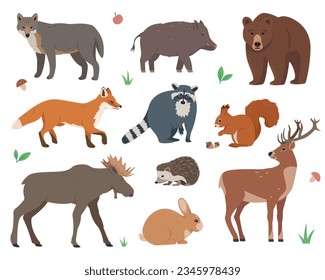 Forest animals set. Wild woodland mammal forest animal characters in different poses. Nature Vector icons illustration isolated on white background.