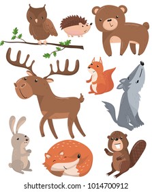 Forest animals set, woodland cute animal owl bird, bear, hedgehog, deer, squirrel, wolf, hare, fox, beaver cartoon vector Illustrations