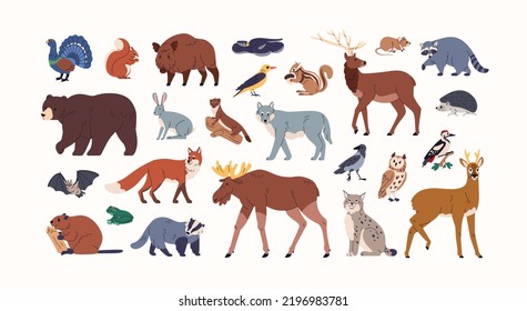 Forest animals set 
