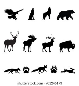 Forest Animals Silhouettes - Vector illustrations of woodland animals: eagle, moose, deer, elk, bison, wolf, fox, hare