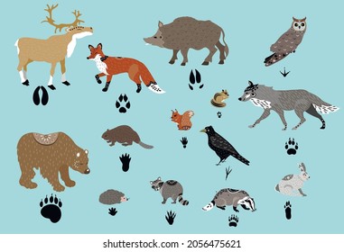 
Forest animals and their footprints. Vector illustration.