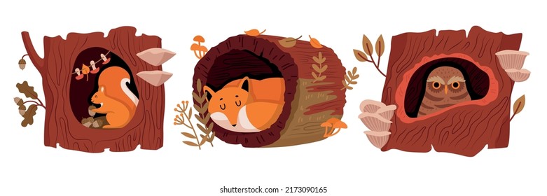 Animales forestales en árboles huecos tres composiciones aisladas con caracteres de dibujos animados del zorro de búho de ardilla de árbol ilustración vectorial plana