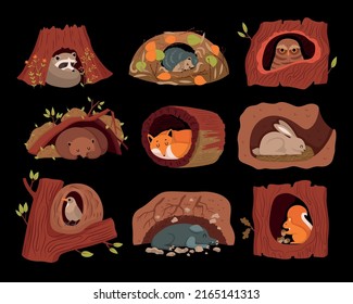 Forest animals in tree hollows and holes on black background cartoon collection flat vector illustration