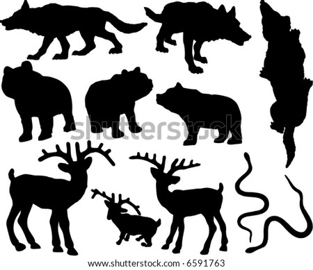 Forest Animals Vector Stock Vector (Royalty Free) 6591763 - Shutterstock