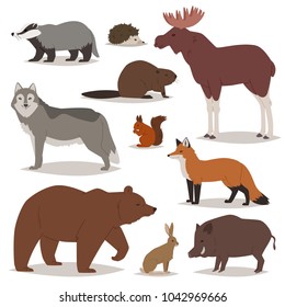 Forest animals vector cartoon animalistic characters bear fox and wild wolf or boar in woodland illustration set of elk hedgehog and squirrel isolated on white background