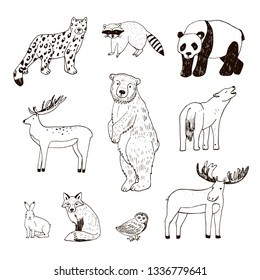 Forest animals vector hand drawn set