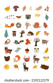 conjunto de ilustraciones vectoriales de animales forestales