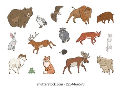 Forest animals vector illustrations set.