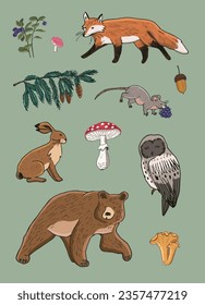 Forest animals vector illustrations set.