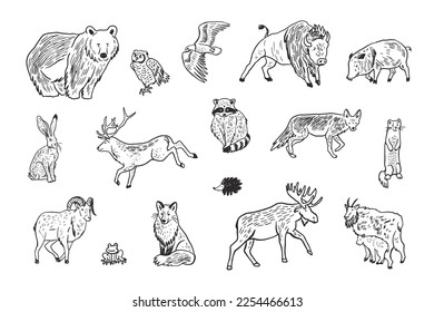 Forest animals vector line illustrations set.