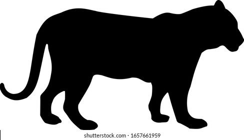 Forest animals vector silhouettes set. Predator animal mammal, illustration of black silhouette animal