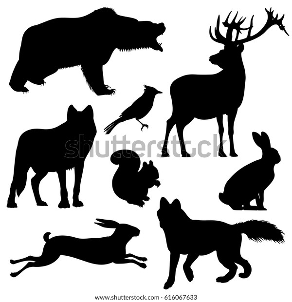 森の動物のベクター画像シルエットセット 黒いシルエット動物のイラトス 捕食動物の哺乳類 のベクター画像素材 ロイヤリティフリー