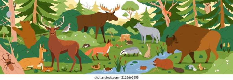 Waldtiere in freier Natur. Landschaft mit Bäumen und Lebensräumen. Biodiversität von Flora und Fauna in gemäßigten Wäldern. Tierwelt im Waldpanorama. Farbige flache Vektorgrafik