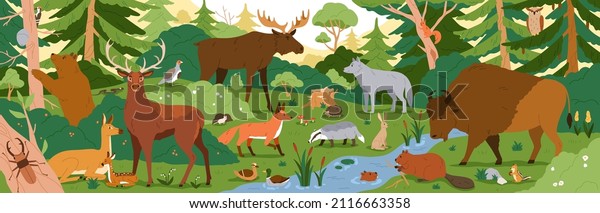 Forest animals in wild nature. Environment\
landscape with trees and habitats. Biodiversity of flora and fauna\
in temperate woods. Wildlife in woodland panorama. Colored flat\
vector illustration