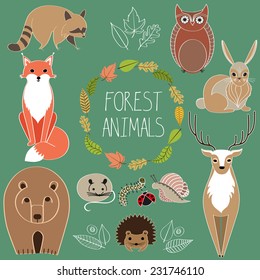 Forest animals. Wild animals. Woodland animals