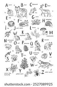 Forest animals woodland alphabet vector line illustrations set poster.