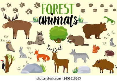Forest animals. Woodland cute animal set drawing vector illustration. Fox, moose, deer, hare, owl, squirrel, beaver, raccoon and bear isolated on white 