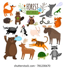 Forest animals. Woodland cute animal set drawing vector illustration like moose or deer and raccoon, fox and bear isolated on white