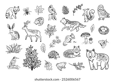 Forest animals woodland vector illustrations line set.