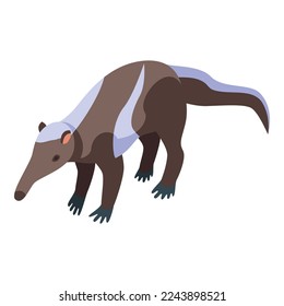 Forest anteater icon isometric vector. Australia baby. Safari mammal