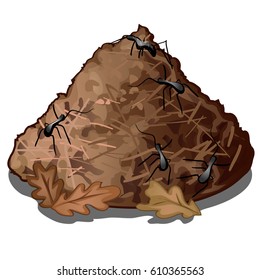 Forest anthill of black ants isolated on white background. Vector cartoon close-up illustration.
