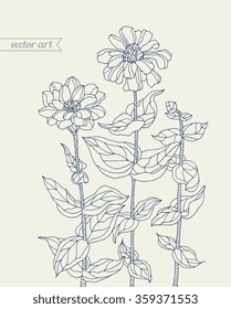 Forest aster flowers, chrysanthemum. Vector. Zentangle. Hand drawn artwork. Bohemia concept for wedding invitation, card, tickets, congratulations, branding, logo, label. Dark blue grey, beige color