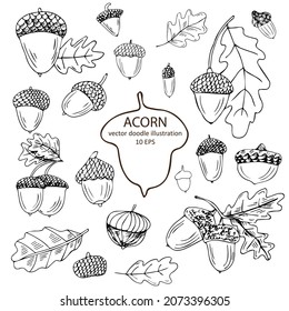 Forest autumn collection. Ornamental Acorns and oak leaves vector set. Hand drawn doodle acorn, leaf, oak - vector illustration