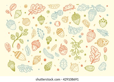 Forest autumn collection. Ornamental Acorns and oak leaves vector set. Hand drawn doodle acorn, leaf, oak  - vector illustration