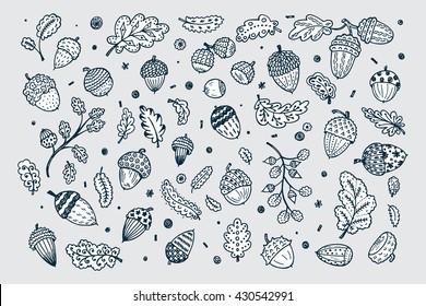 Forest autumn collection. Ornamental Acorns and oak leaves vector set. Hand drawn doodle acorn, leaf, oak - vector illustration