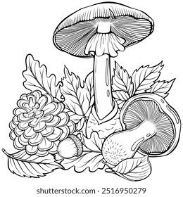 Composición del otoño del bosque con setas, hojas, cono de pino, bellota. Bodegón de otoño. Ilustración vectorial en estilo de boceto dibujado a mano. Arte de línea aislado en blanco para colorear libro, impresión