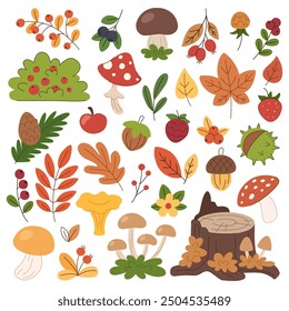 Forest autumn elements set. Mushrooms, leaves, berries and fruits, stump with mushrooms, forest harvest. White background.