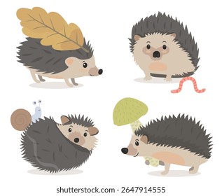 Ícones de ilustração do ouriço do outono da floresta definidos. Ouriço de desenho animado bonito com folhas, caracol e inseto. Ilustração divertida de animais de caráter vetorial isolada em branco.