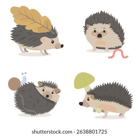 Forest autumn hedgehog illustration set. Cute cartoon hedgehogs with leaves, snail and insect. Funny vector animals illustration isolated on white.
