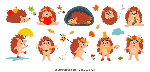 Forest autumn hedgehogs. Funny cartoon hedgehog walking sleeping and drink tea. Warm cozy animal at fall knitting and dry mushrooms, classy vector set