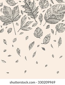 Forest autumn leaves background. Vector. Hand drawn artwork. Set collection. Bohemia concept invitations, cards, tickets, branding, logo, label. Web and mobile interface template. Black, white, beige