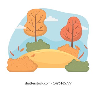 forest autumn season landscape scene