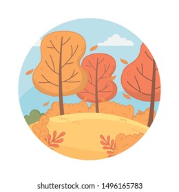 forest autumn season landscape scene